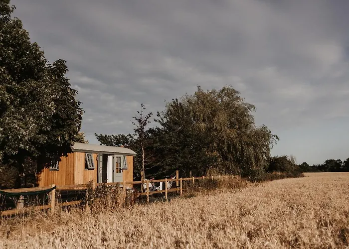 The Dragonfly Shepherds Hut