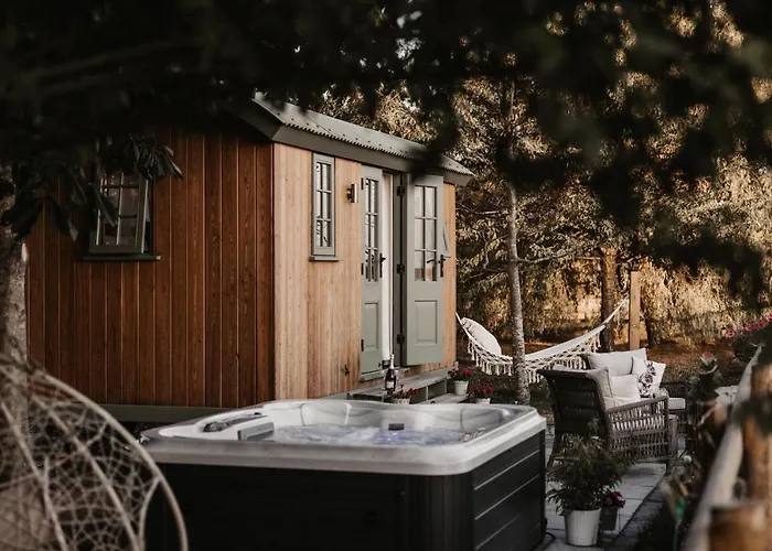The Dragonfly Shepherds Hut